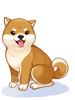 Costume Shiba Inu