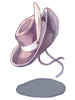 Costume Cowboy Hat